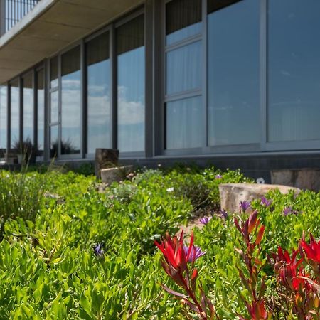 The Olive Tree Villa Изерфонтейн Экстерьер фото